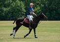 Turniej Polo