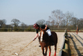 Polo Club du Bouloy Francja 2012